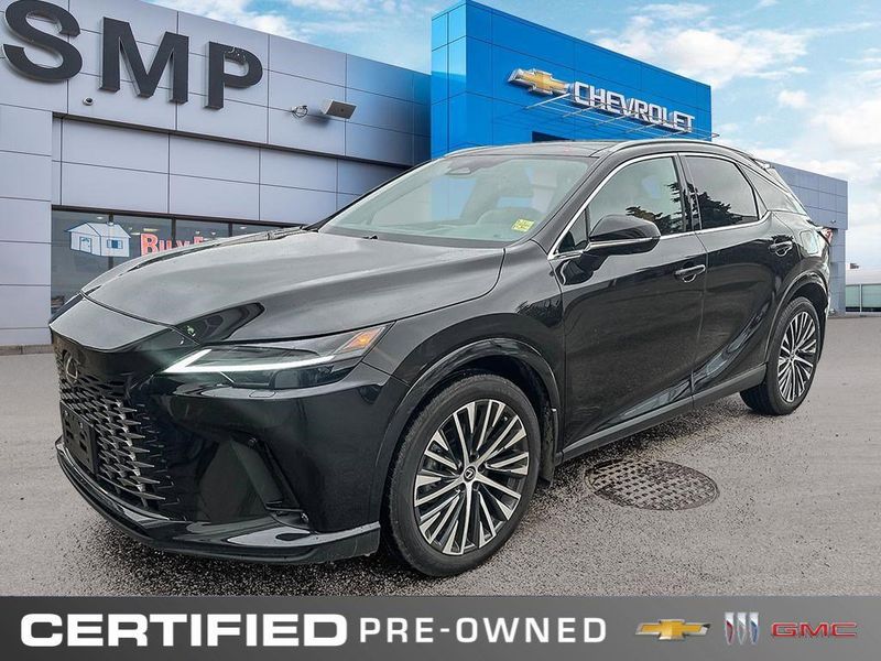 2025 Lexus RX