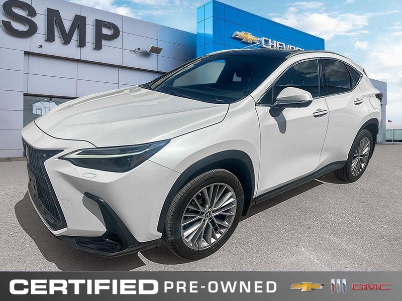 2023 Lexus NX