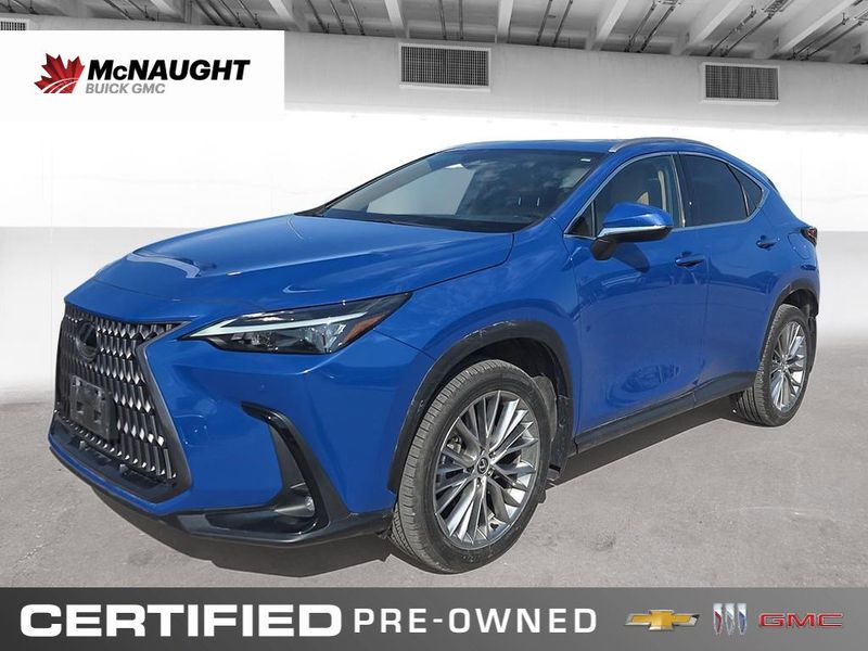 2024 Lexus NX