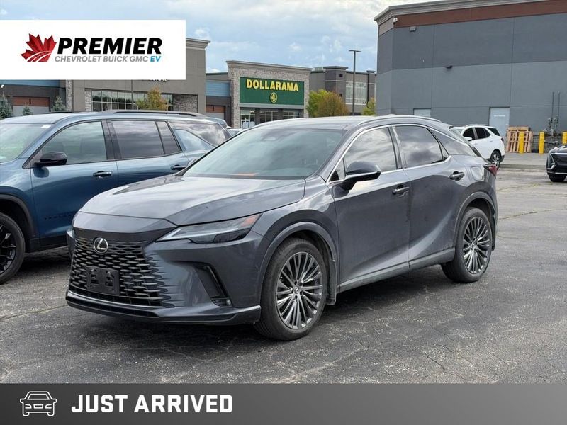 2024 Lexus RX