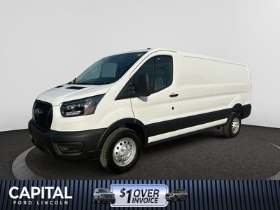2025 Ford Transit Cargo Van