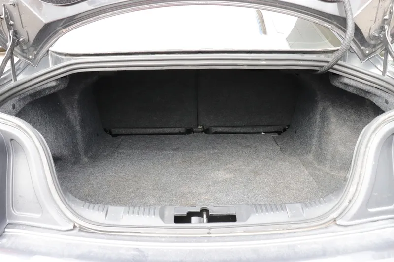 2019 Ford Mustang EcoBoost photo 3