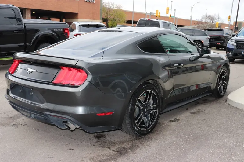 2019 Ford Mustang EcoBoost photo 2