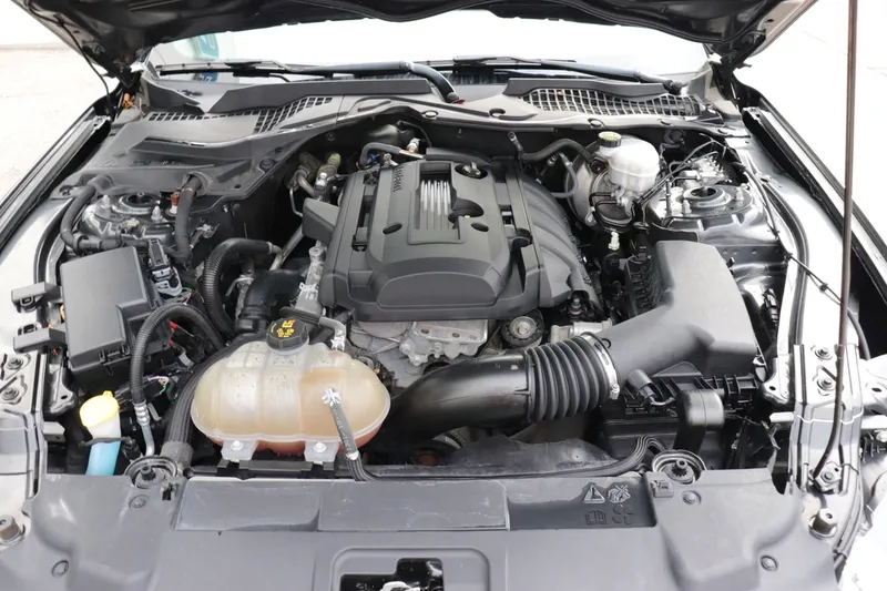 2019 Ford Mustang EcoBoost photo 4