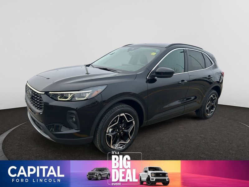 2026 Ford Escape