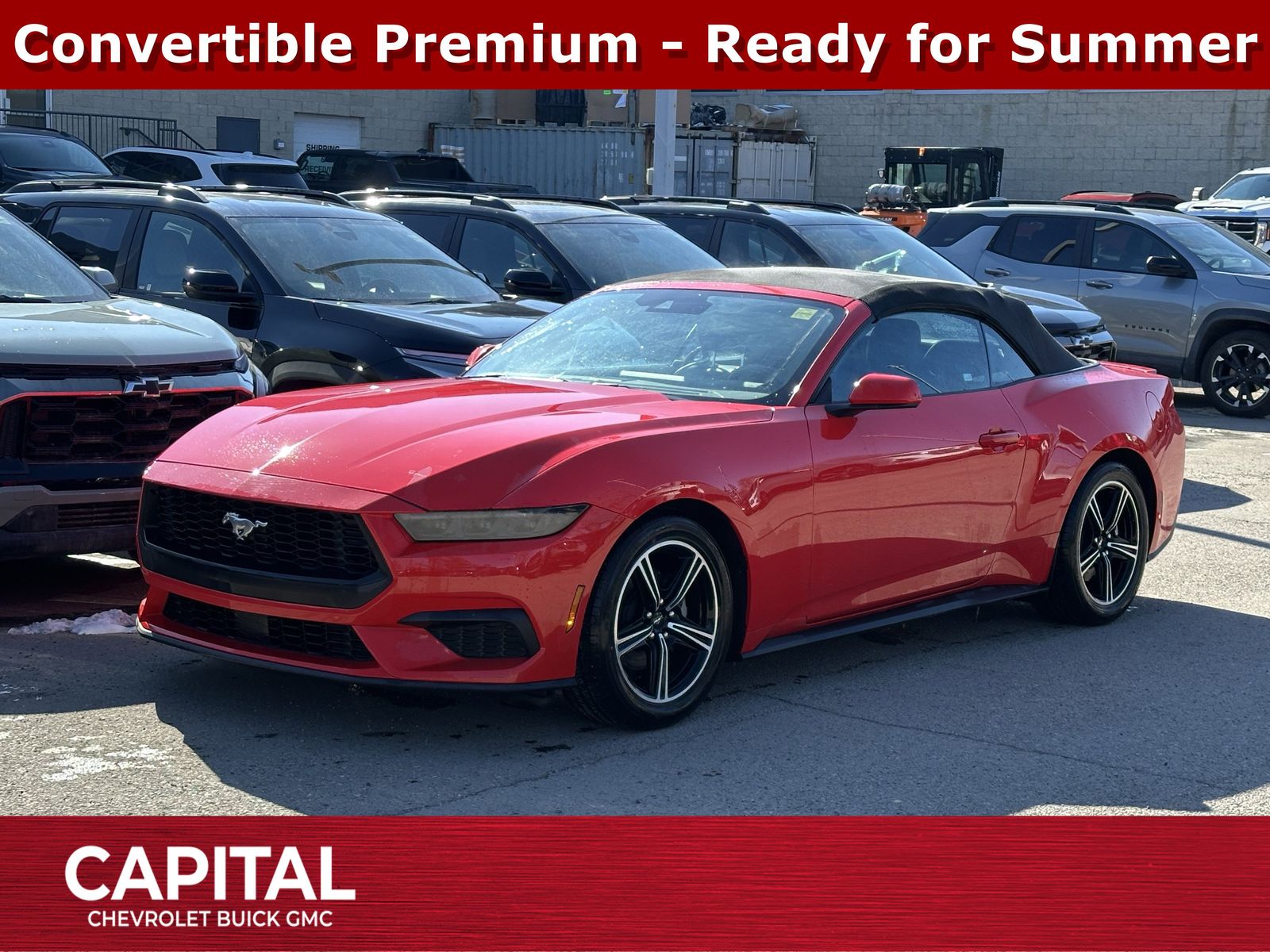 Used 2025 Ford Mustang EcoBoost-Premium 26066A