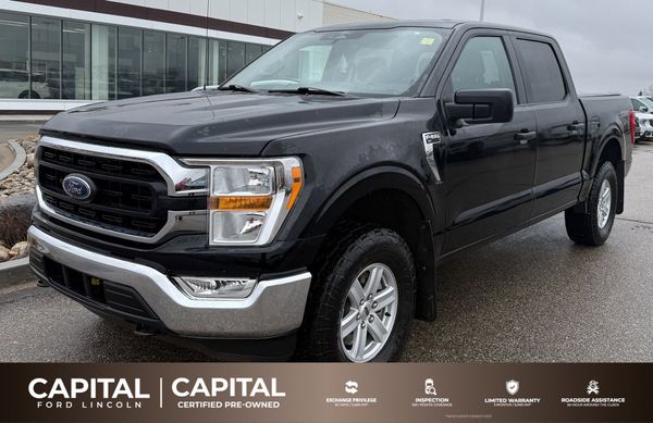 2021 Ford F-150