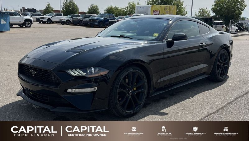 2019 Ford Mustang