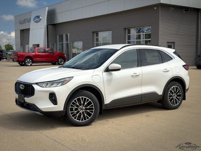 2026 Ford Escape