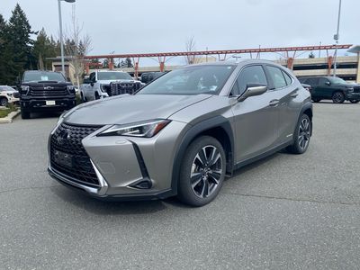 2021 Lexus UX