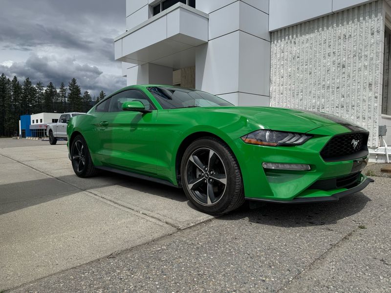 2019 Ford Mustang