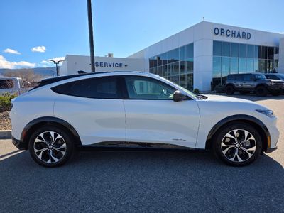 2022 Ford Mustang Mach-E