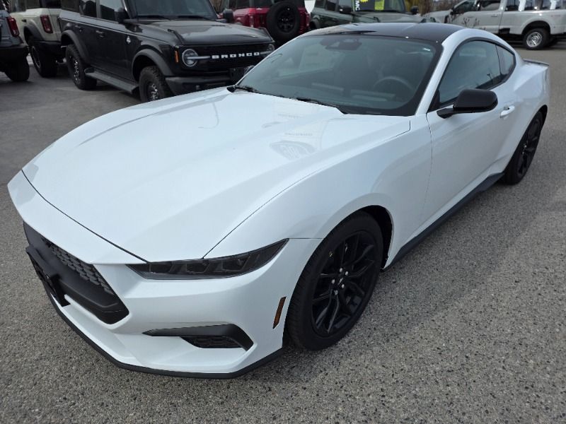 New 2026 Ford Mustang EcoBoost-Fastback 260296
