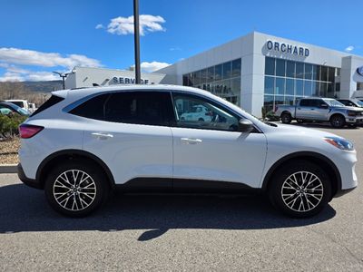 2022 Ford Escape