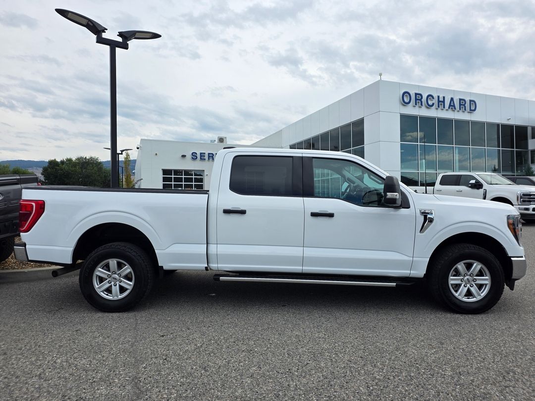 Used 2023 Ford F-150 XLT P26194
