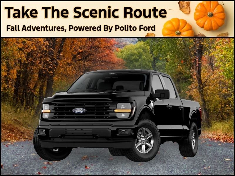 New 2026 Ford F-150 XLT 26413