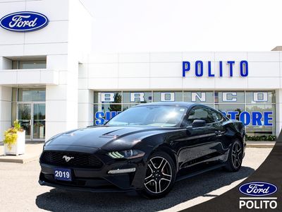 2019 Ford Mustang