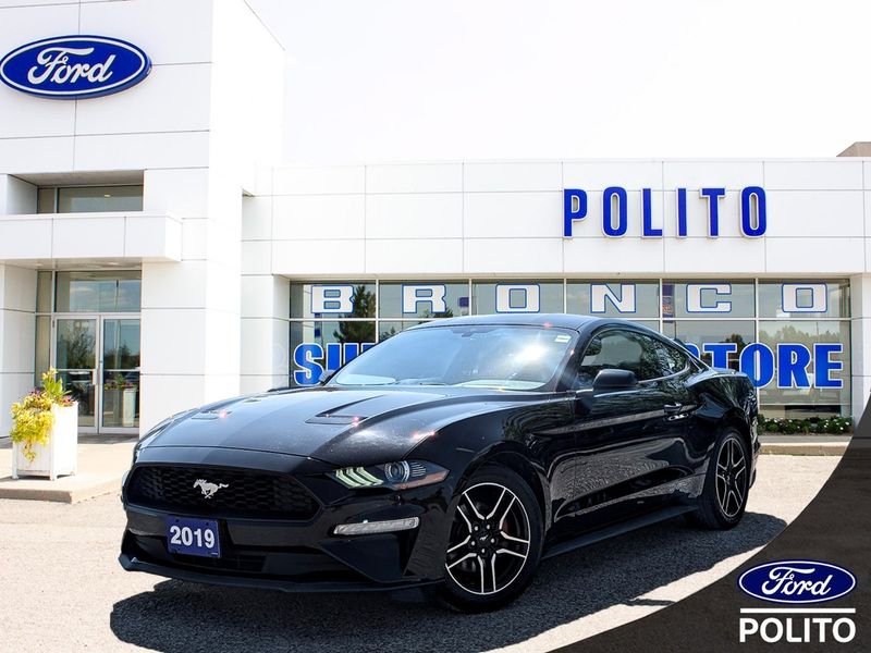 2019 Ford Mustang