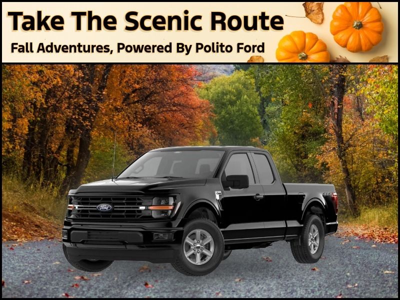 New 2026 Ford F-150 XLT 26558