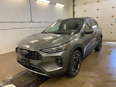 2026 Ford Escape