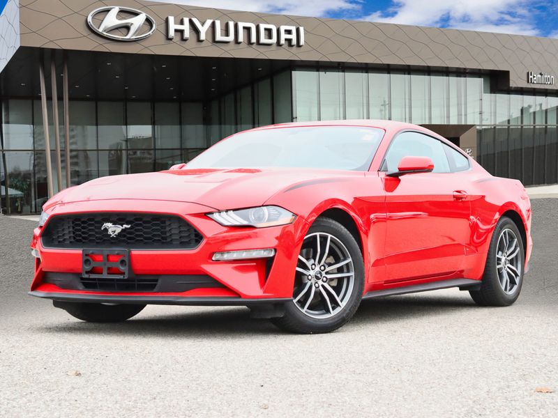 2019 Ford Mustang