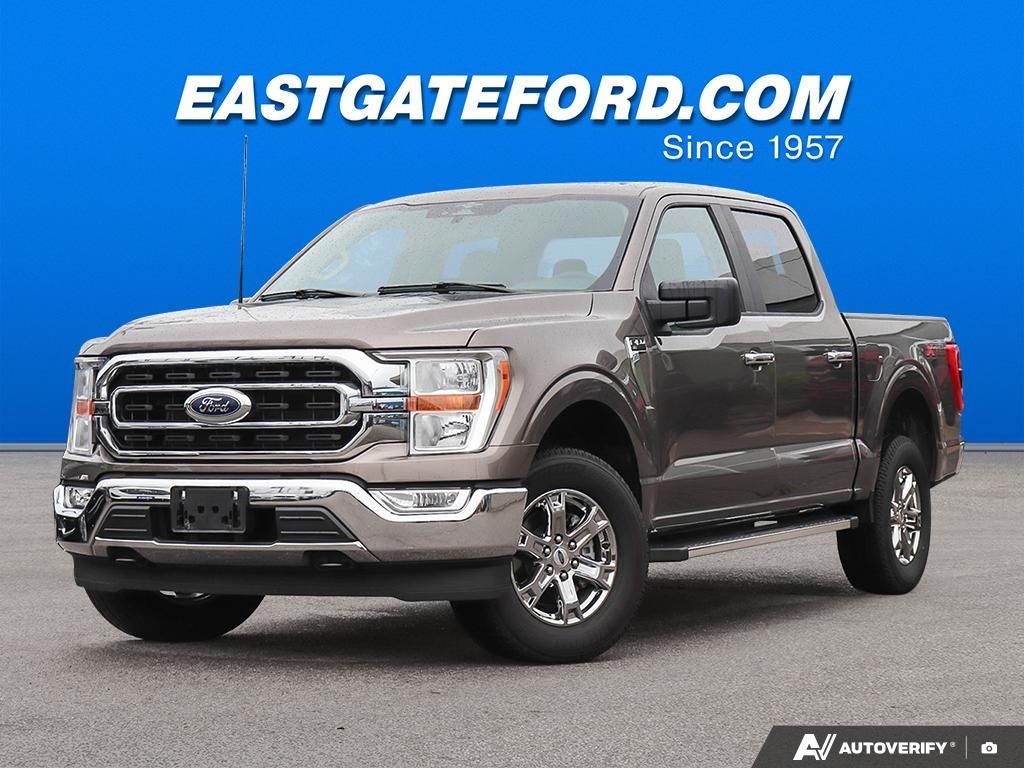 Used 2023 Ford F-150 XLT 19511P