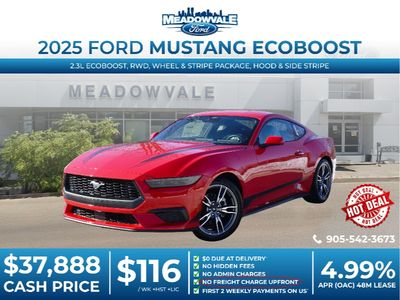 2025 Ford Mustang
