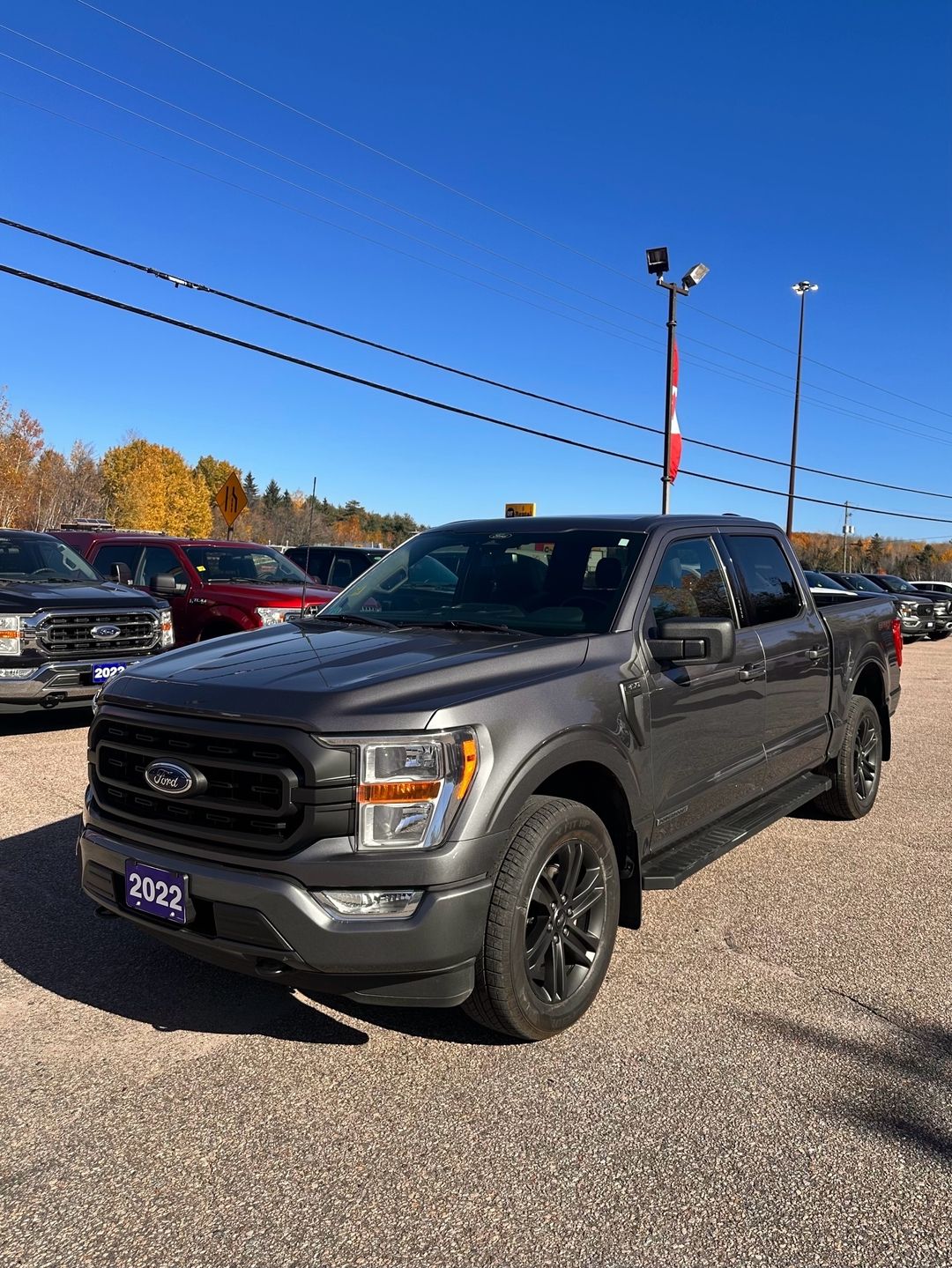 Used 2022 Ford F-150 XLT A2177