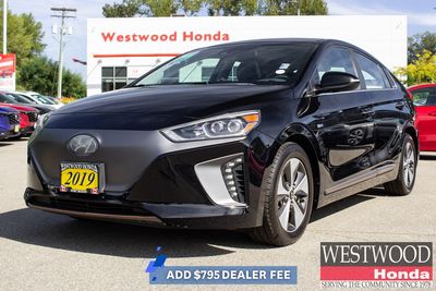 2019 Hyundai Ioniq Electric