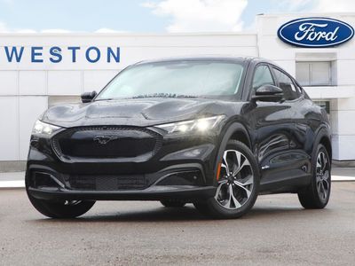 New 2025 Ford Mustang Mach-E Select ME25209