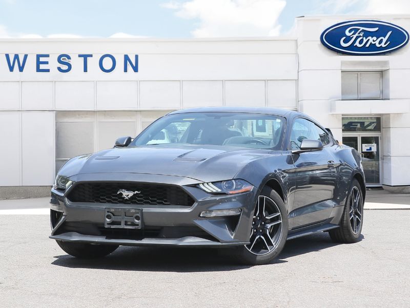 2019 Ford Mustang