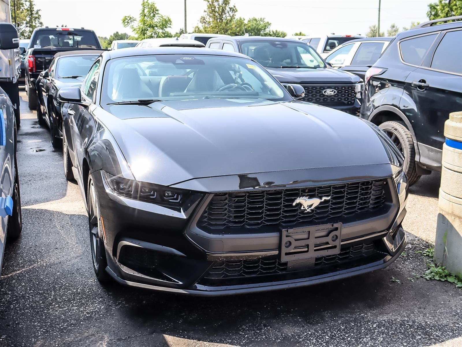 New 2026 Ford Mustang EcoBoost-Premium FN7263