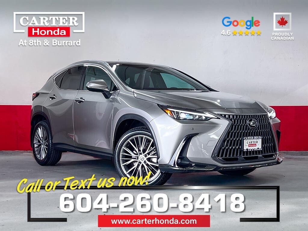 2024 Lexus NX
